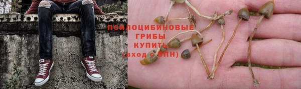 герыч Приозерск