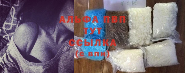 сатива Пролетарск