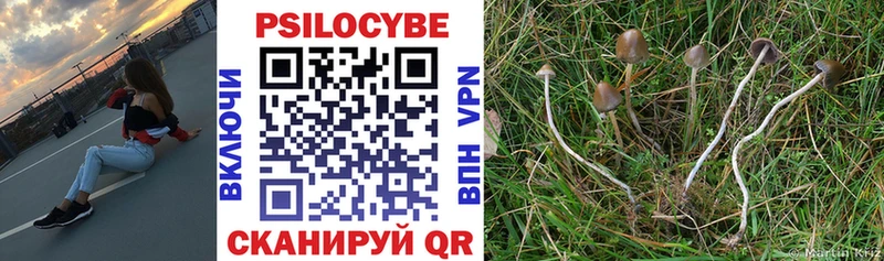 Галлюциногенные грибы Psilocybe  Мантурово 